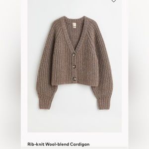 H&M | Alpaca-wool blend cardigan